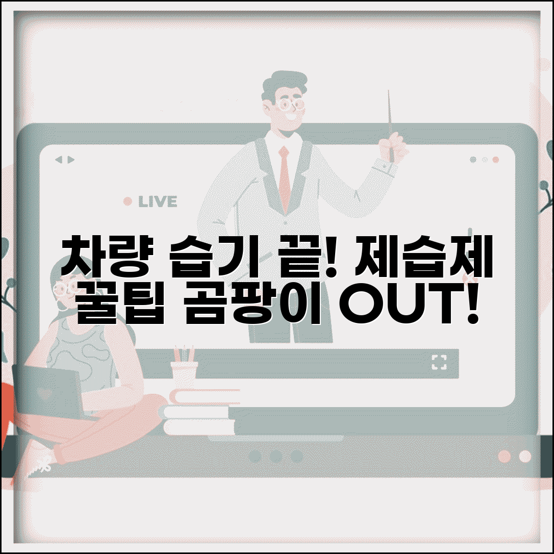 자동차 습기 제거 방법 제습제 효과 | 차 실내 습기 곰팡이 예방