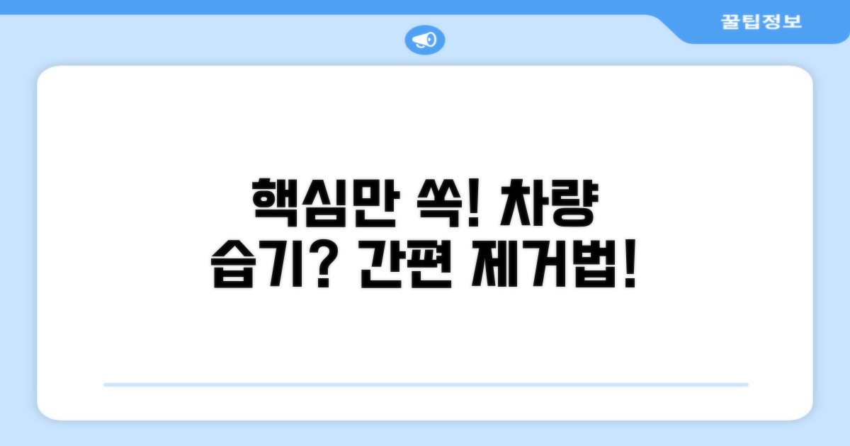 자동차 습기 제거 효과적인 방법