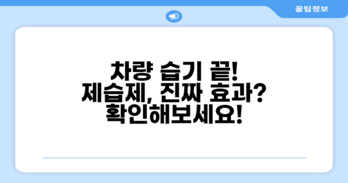 자동차 습기 제거, 제습제 효과는?