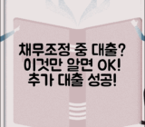 채무조정 중 대출 후기 | 실제 대출 성공사례 | 추가 대출 가능 업체