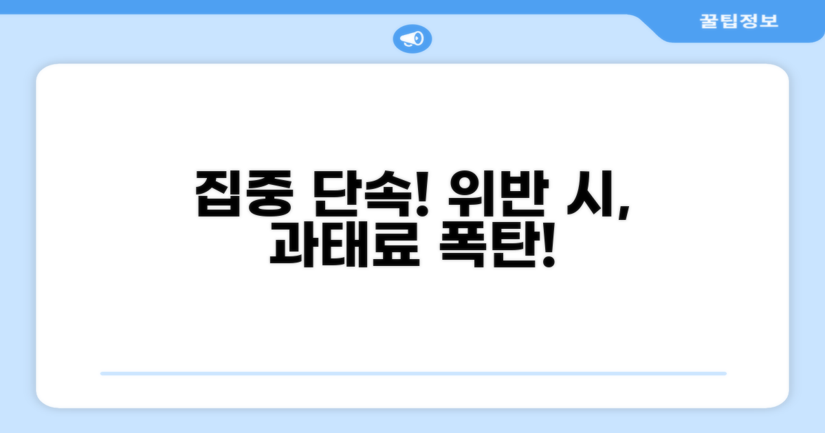 집중 단속 기간과 위반 시 과태료