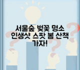 서울숲 벚꽃 명소 안내 | 봄 산책하기 좋은 포토 스팟