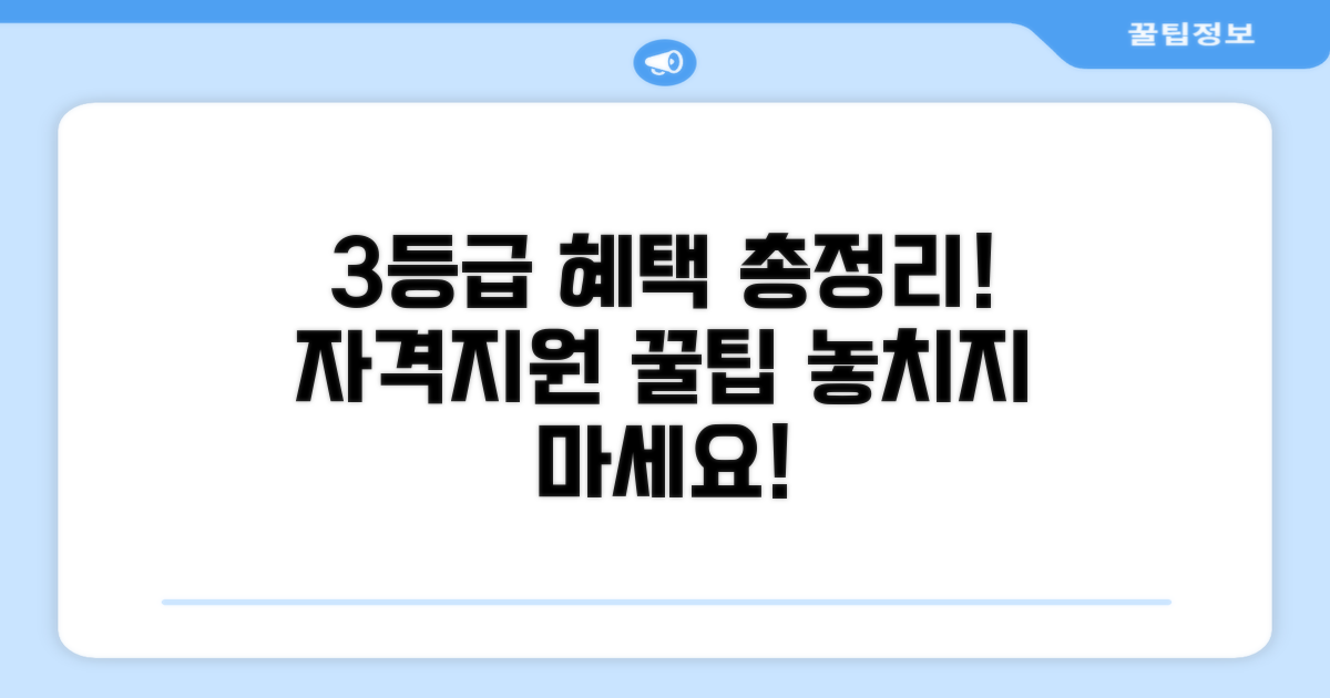 3등급 자격 조건과 지원 내용