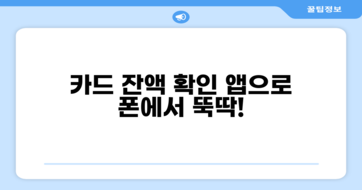 카드 앱으로 간편하게 잔액 확인