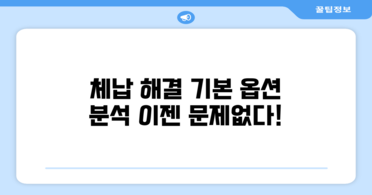 체납 해결 기본 옵션 분석