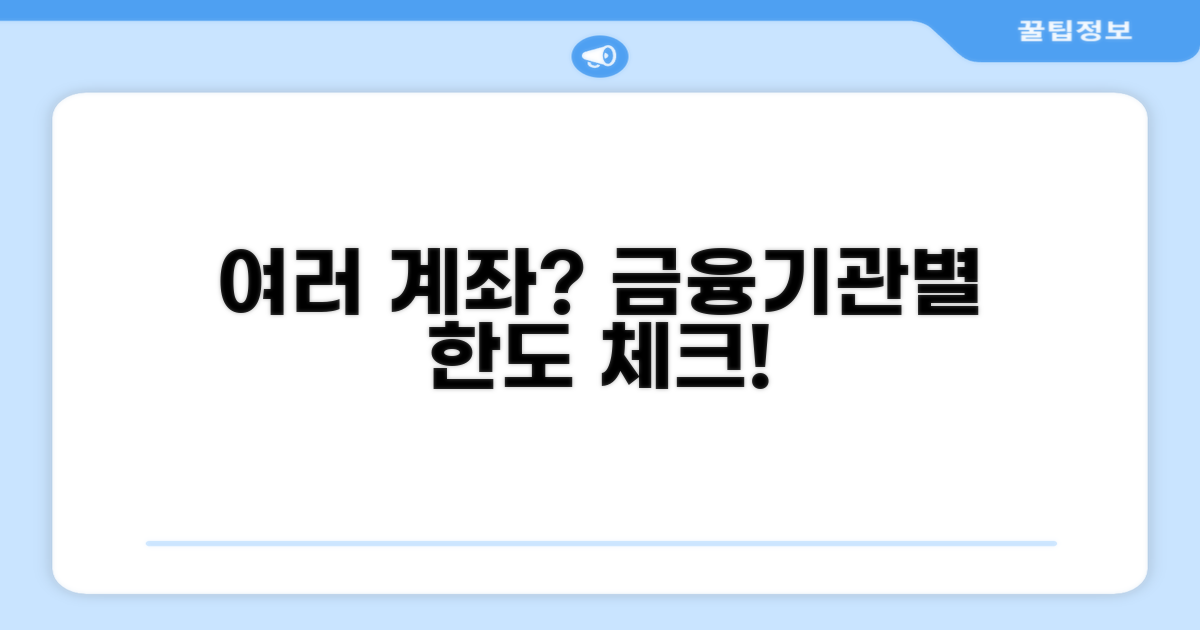 여러 계좌, 금융기관별 한도 따져보기